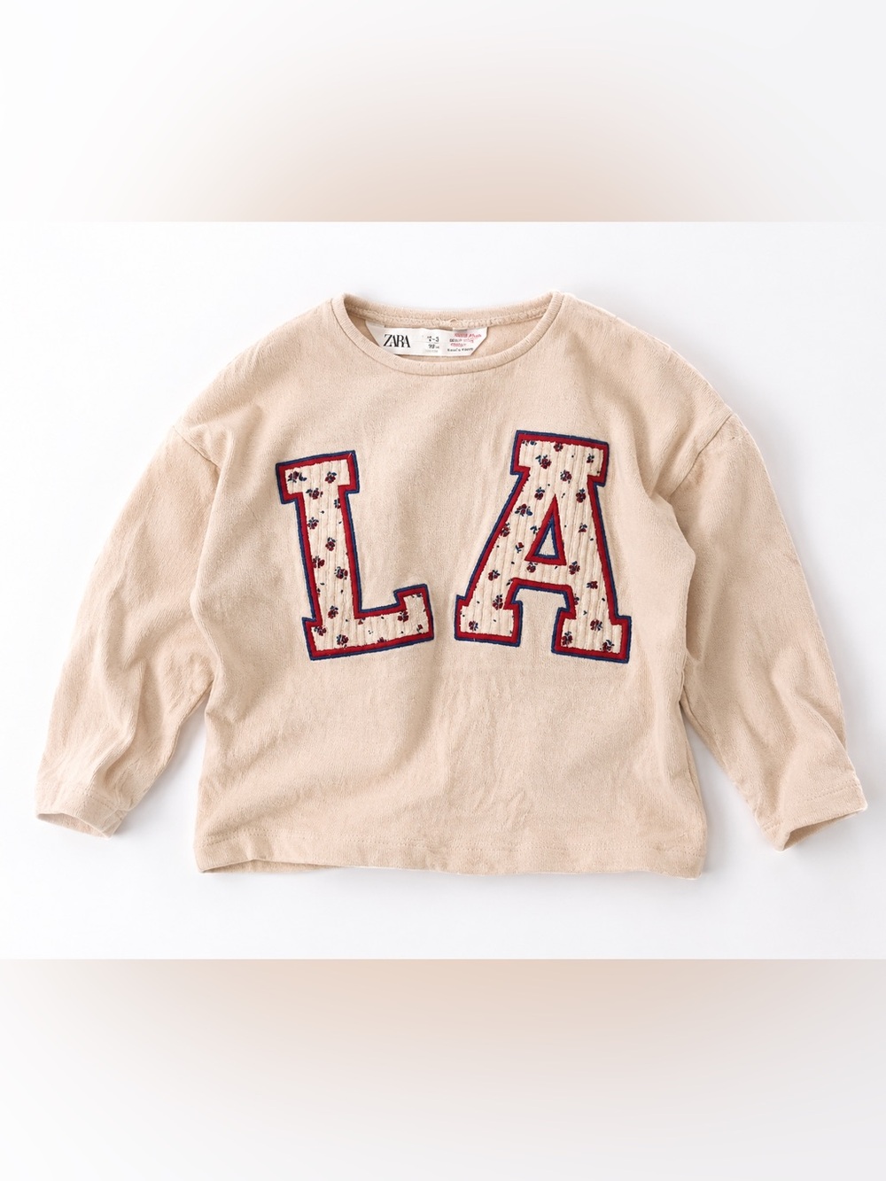 Zara Toddler Embroidered LA Long Sleeve Sweatshirt Top Floral Details